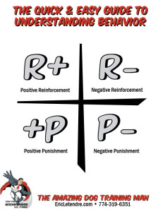 positive punishment and negative reinforcement examples