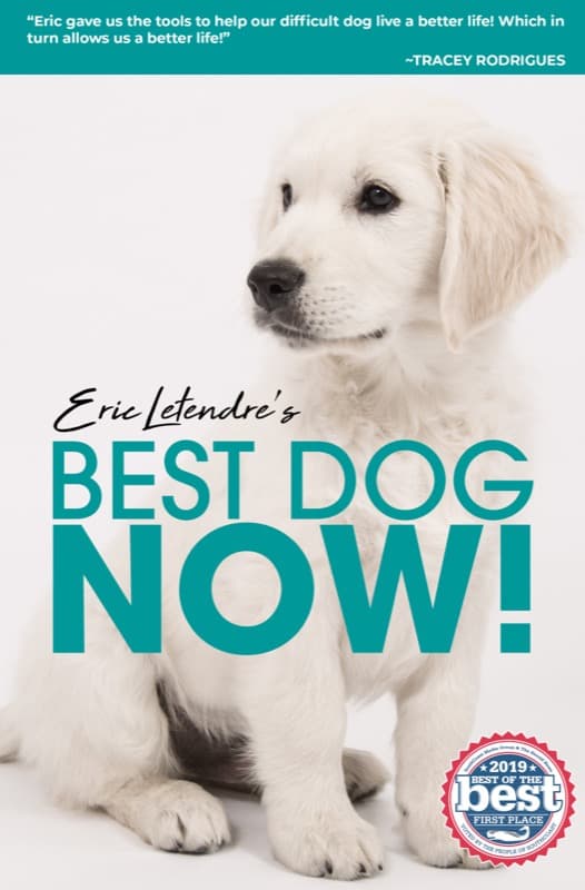 Best Dog Now by Eric Letendre