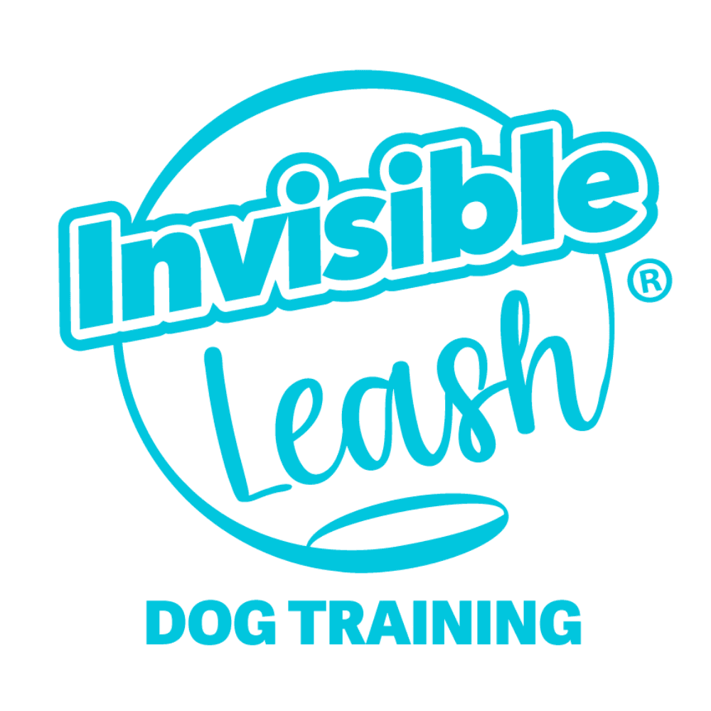 Invisible Leash® logo