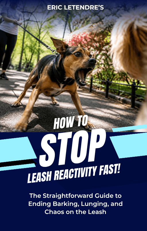 How to Stop Leash Reactivity Fast — free guide cover