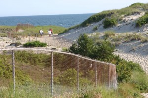 Dog Training Westport MA