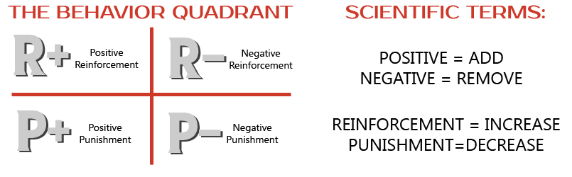 Dog Training Behavior Quadrant