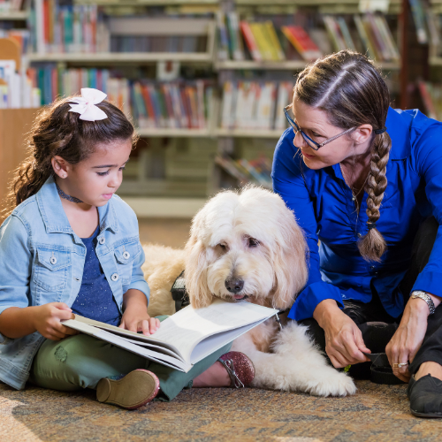 Eric Letendre's Dog Training School Canine Good Citizen Prep Class