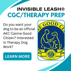 Eric Letendre's INVISIBLE LEASH® CGC/Therapy Dog Prep Program