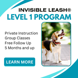 Invisible Leash® Level 1 Training Program at Eric Letendre's Dog Training School