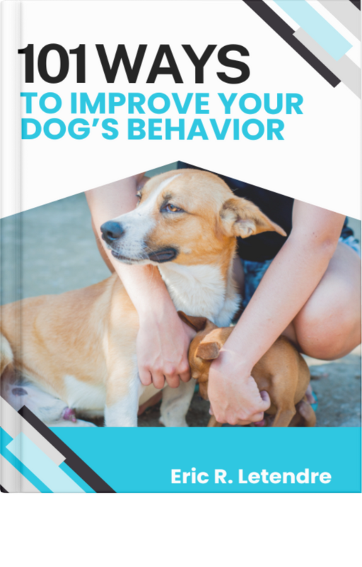 101 Ways To Improve Your Dog's Behavior