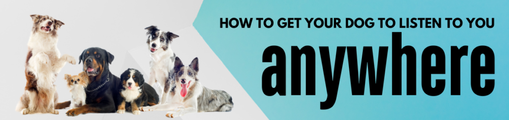 Free Webinar - How To Get Your Dog To Listen To You Anywhere