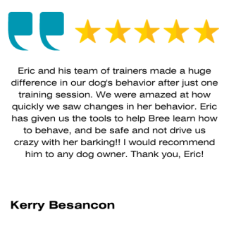 Eric Letendre Dog Training Review 3