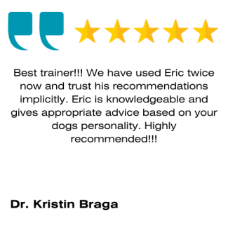 Eric Letendre Dog Training School Review 10