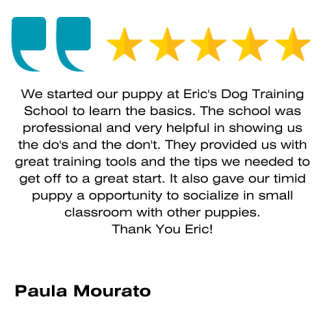 Eric Letendre Dog Training School Review 6